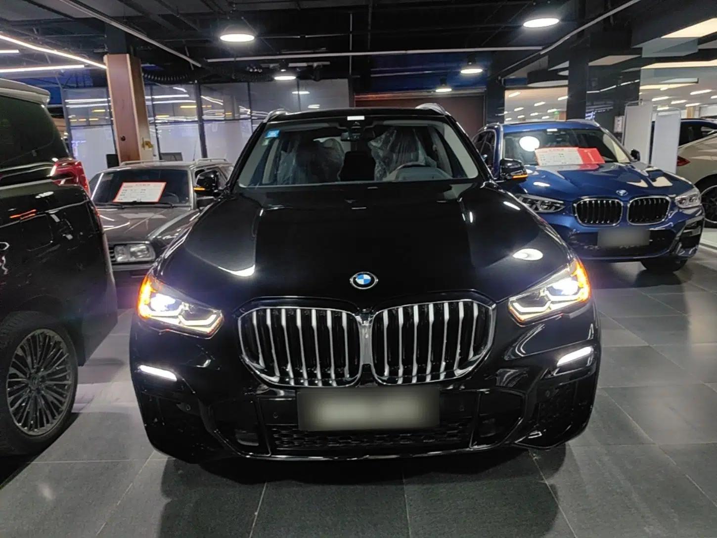 BMW X5 New Energy 2020 xDrive45e M Sport Package — миниатюра 2