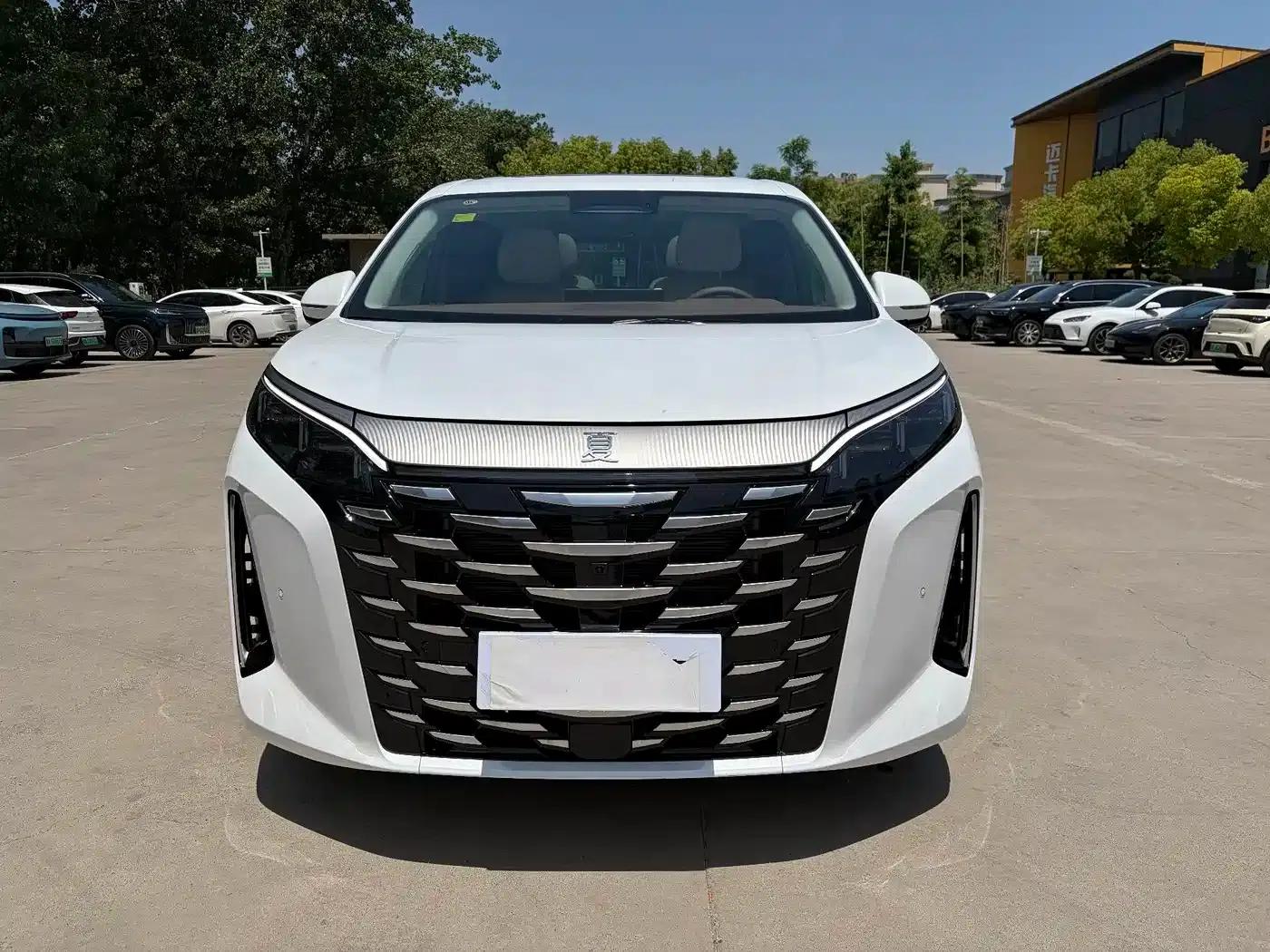 Summer 2025 DM-i 1.5T 100km Leading Edition — миниатюра 2