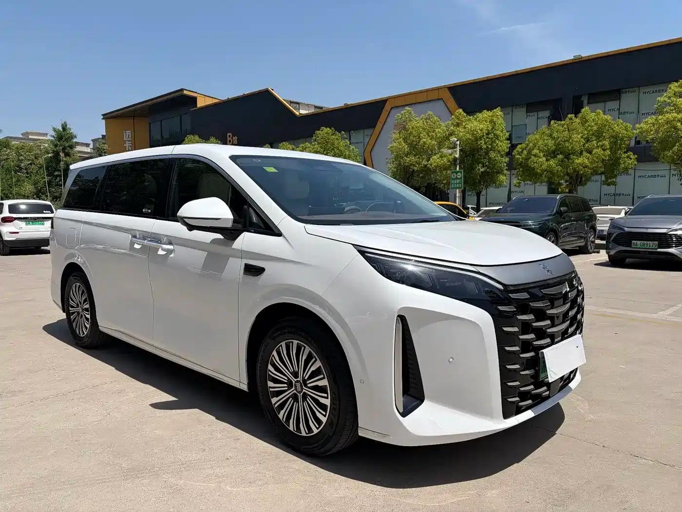 Summer 2025 DM-i 1.5T 100km Leading Edition — миниатюра 3