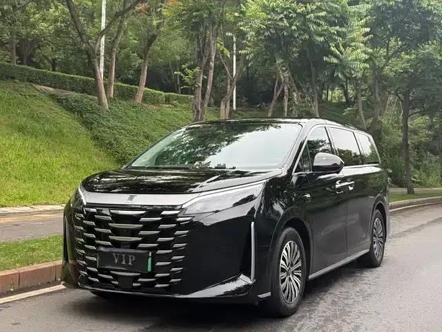 Summer 2025 DM-i 1.5T 100km Super Edition