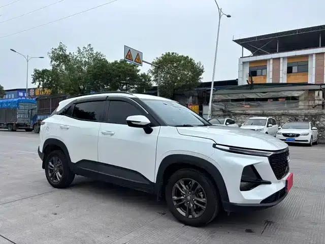 Baojun RS-3 2020 1.5L Manual Intelligent Elite Edition