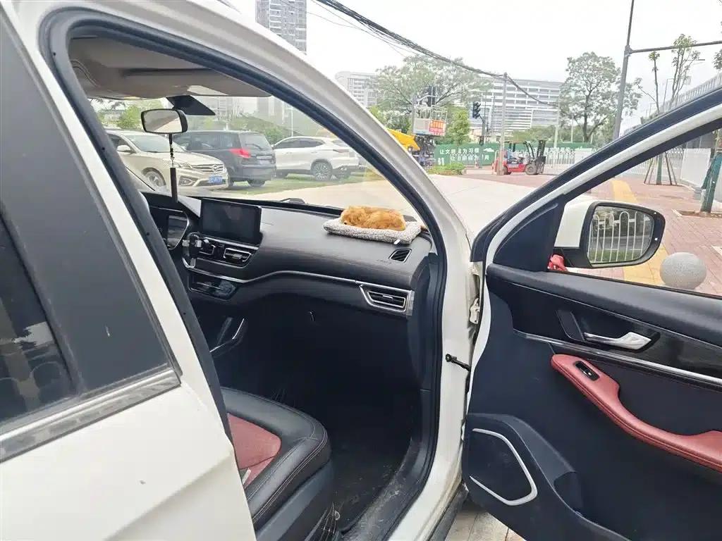 Bestune T33 2019 1.6L Automatic Connected Smart Edition (National V Emission Standard) — миниатюра 22