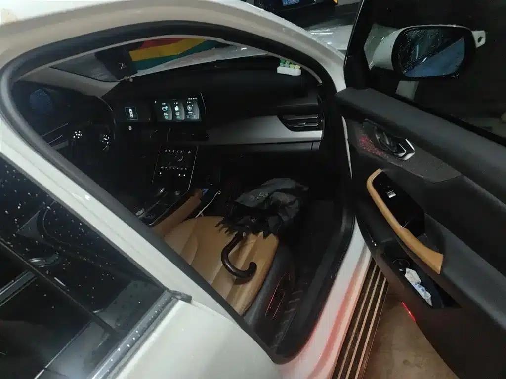 Beijing X7 2020 1.5TD DCT Elite Edition — миниатюра 20