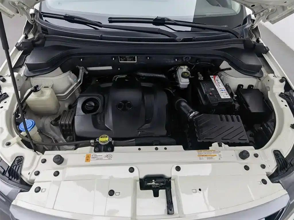 Senova X55 2016 1.5T CVT Elite Edition — миниатюра 6