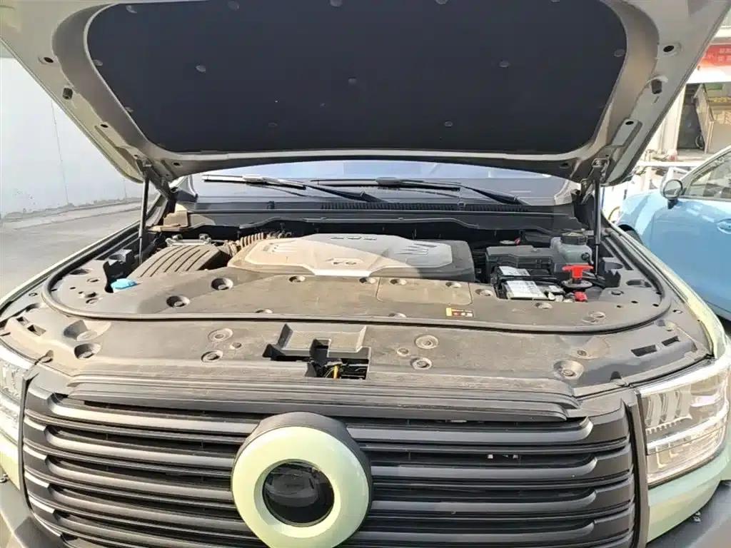 Shanhai Cannon 2023 3.0T V6 Gasoline Extreme Traction Edition — миниатюра 19