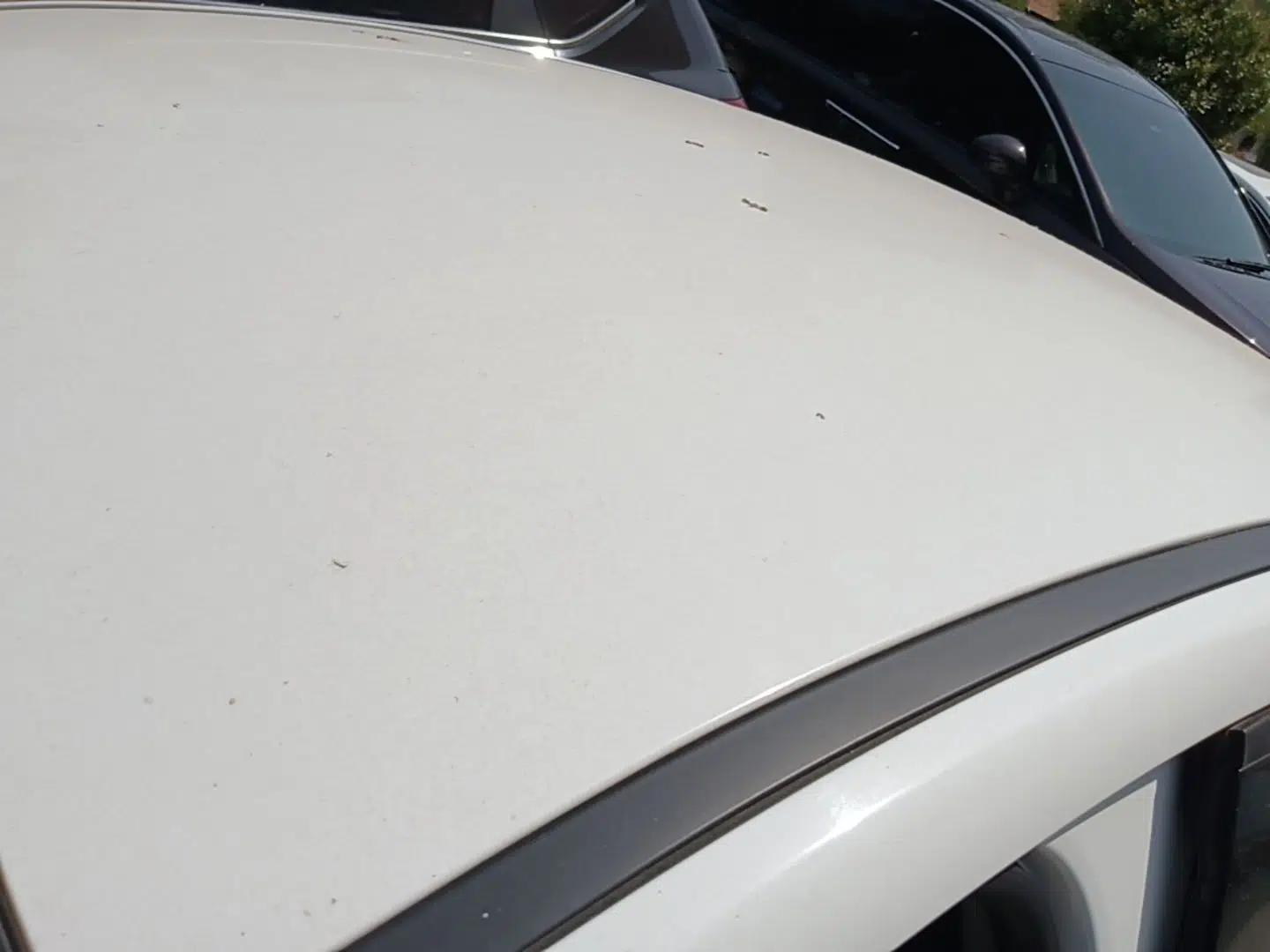 BYD Qin Pro 2020 Beyond Edition 1.5TI Automatic Prestige Version — миниатюра 11