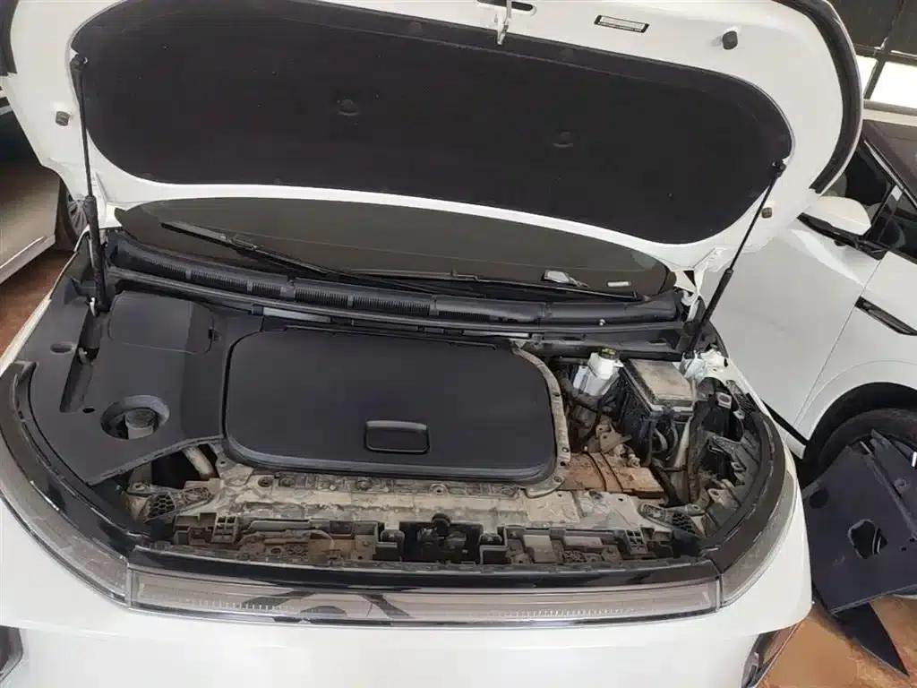 Everyone 9 2022 Long Range Mountain 7-Seater Edition — миниатюра 20