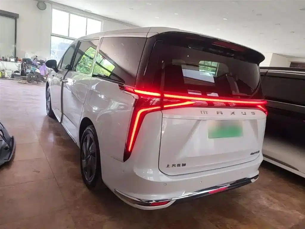Everyone 9 2022 Long Range Mountain 7-Seater Edition — миниатюра 5