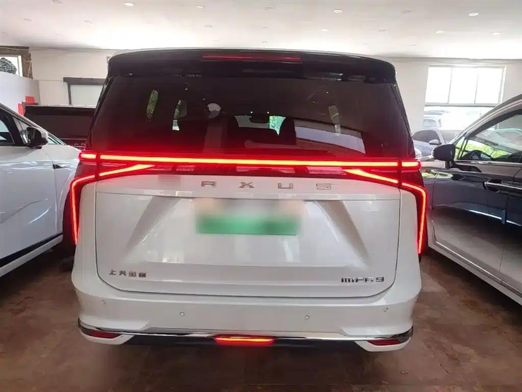 Everyone 9 2022 Long Range Mountain 7-Seater Edition — миниатюра 6