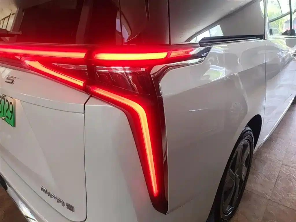 Everyone 9 2022 Long Range Mountain 7-Seater Edition — миниатюра 8