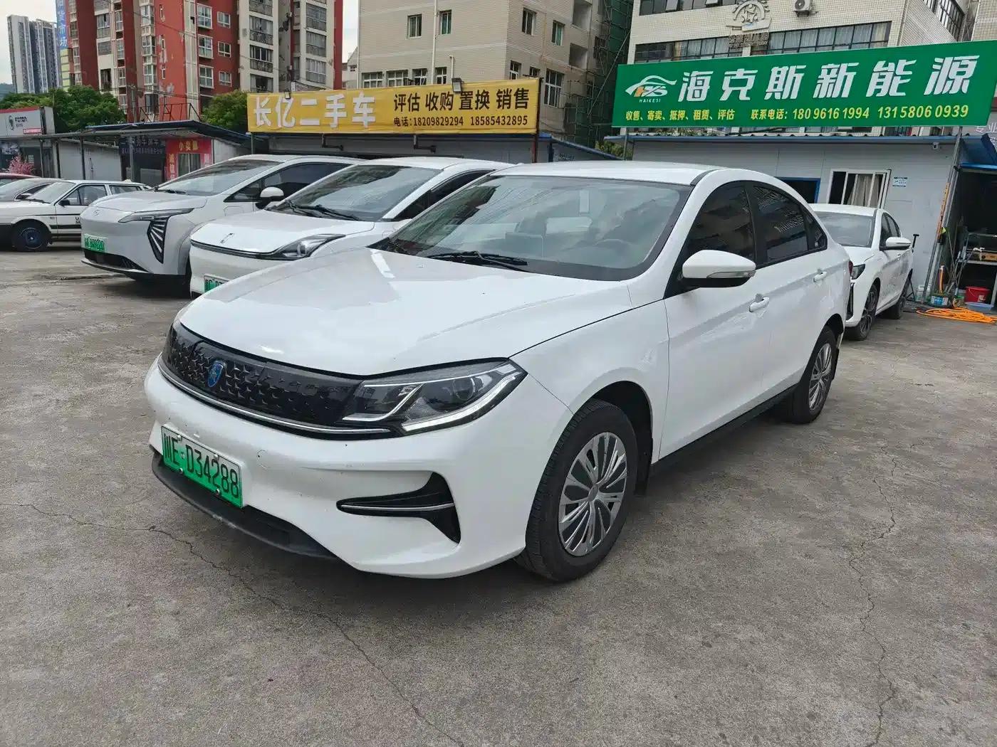 Fengxing S60EV 2023 PRO Edition — миниатюра 1