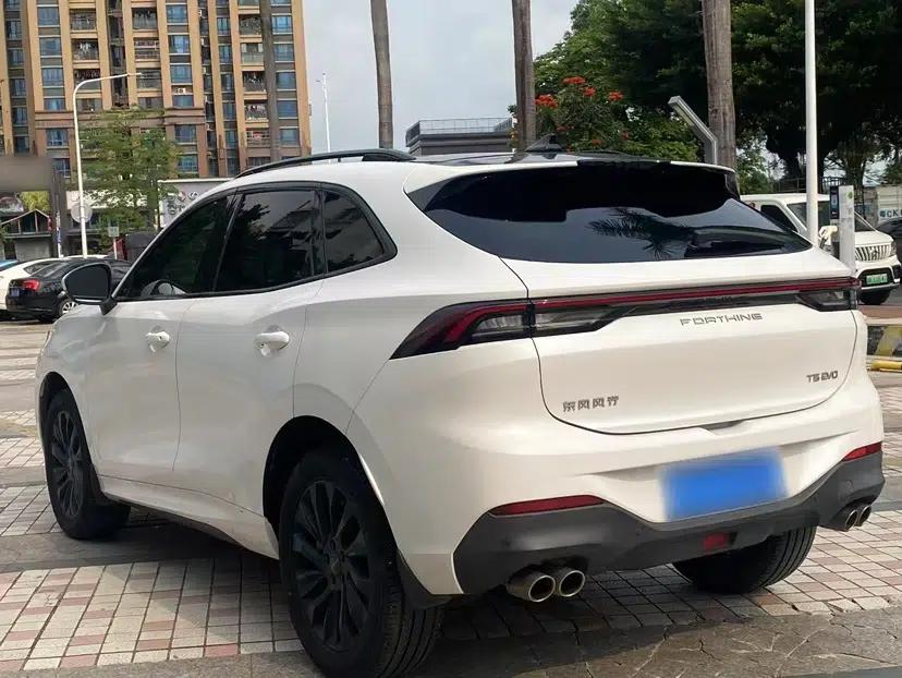 FORTHING T5 EVO 2021 1.5TD DCT Diamond Edition — миниатюра 6