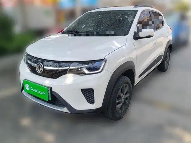 Dongfeng NAMMI EX1 2022 Revised PRO Enjoyment Version