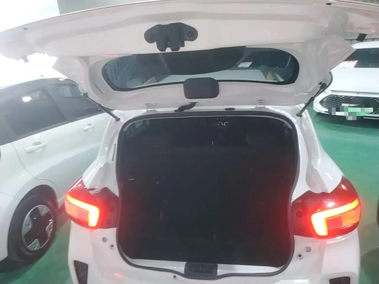 Dongfeng NAMMI EX1 2022 PRO Enjoyment Model — миниатюра 22