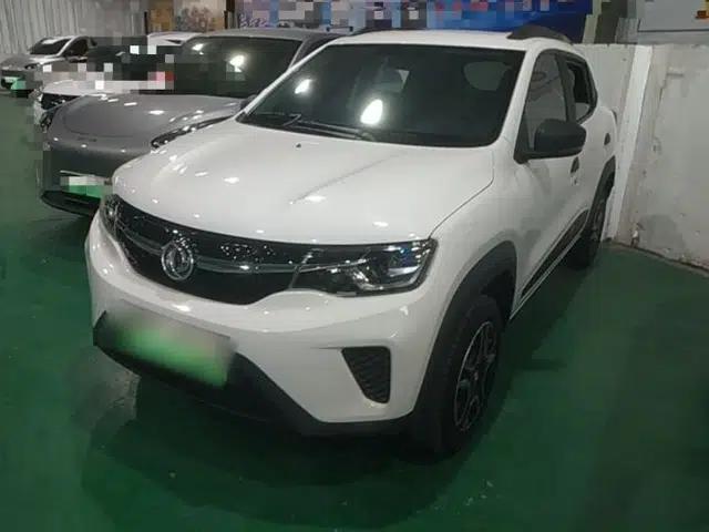 Dongfeng NAMMI EX1 2022 PRO Enjoyment Model