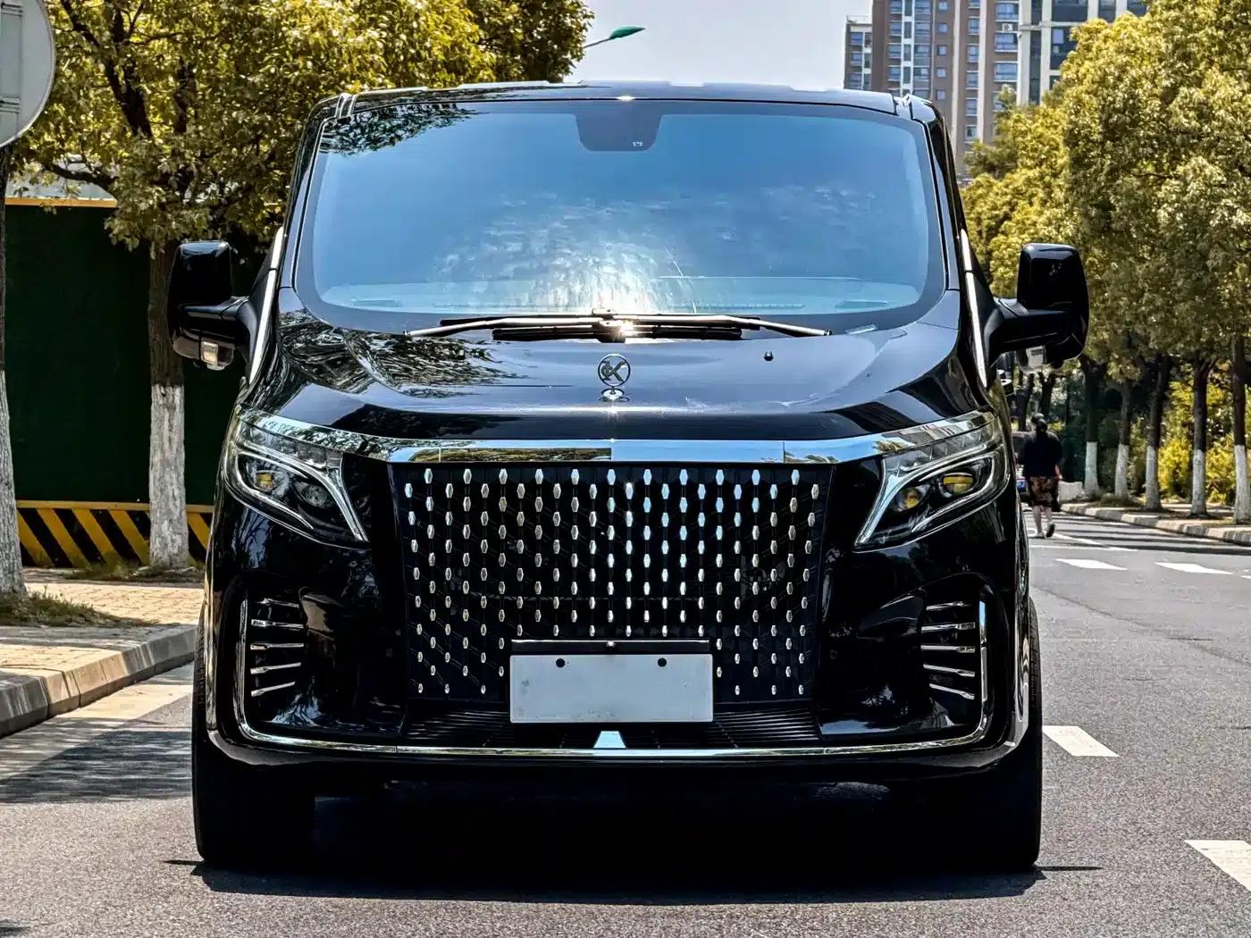 Tourneo 2024 2.0T Automatic Premium Plus Edition — миниатюра 2
