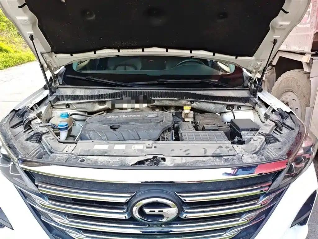 Trumpchi GS5 2019 270T Automatic Luxury Edition — миниатюра 11