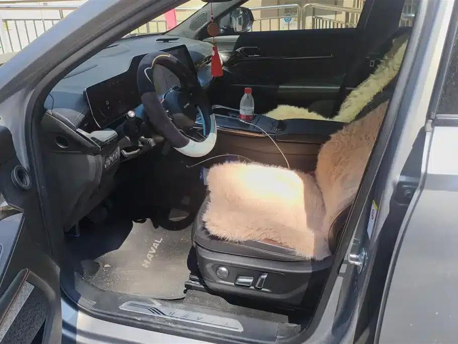 Haval Mythical Beast 2022 1.5T Supreme Edition — миниатюра 9