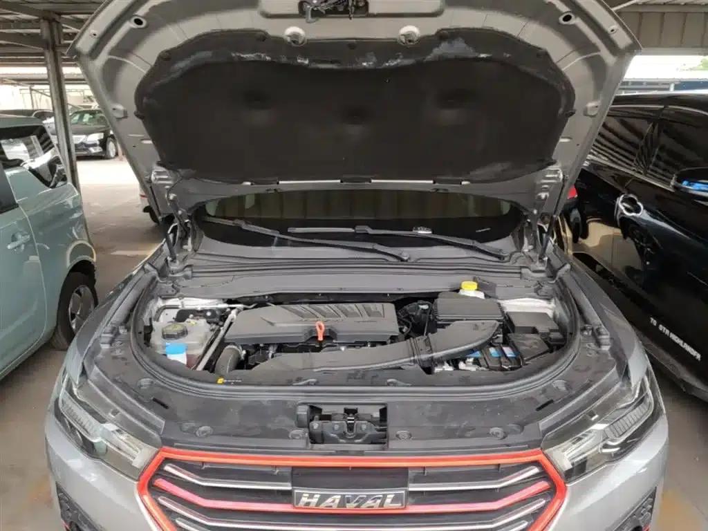 Haval H4 2019 1.5GDIT Pro Edition (China VI Emission Standard) — миниатюра 20