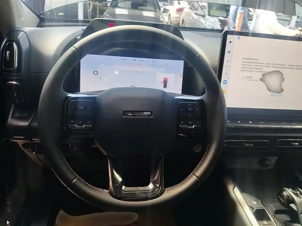 Haval Big Dog PLUS New Energy 2024 Hi4 102km Trendy Electric Edition Plus — миниатюра 11