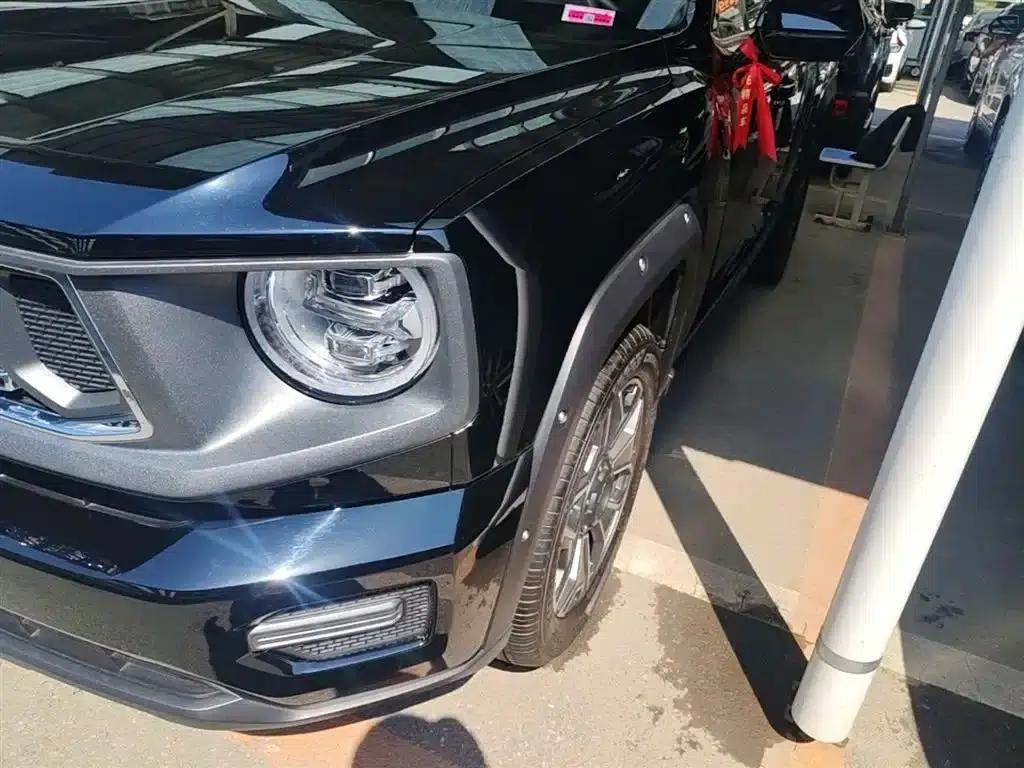 Haval Big Dog PLUS New Energy 2024 Hi4 102km Trendy Electric Edition Plus — миниатюра 24