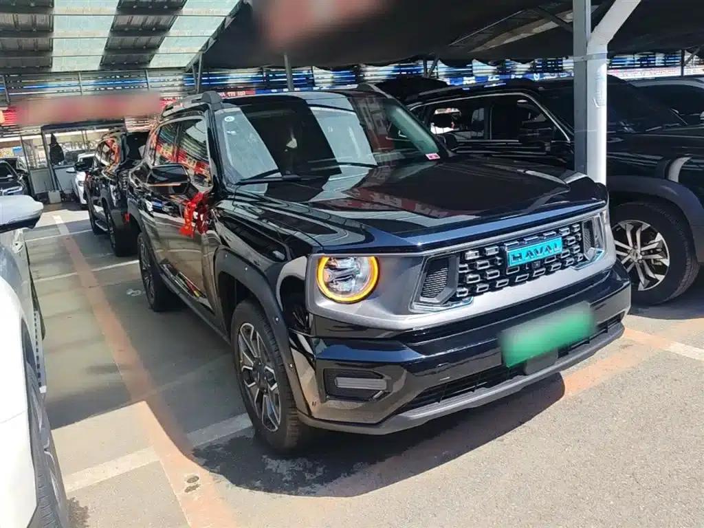 Haval Big Dog PLUS New Energy 2024 Hi4 102km Trendy Electric Edition Plus — миниатюра 4