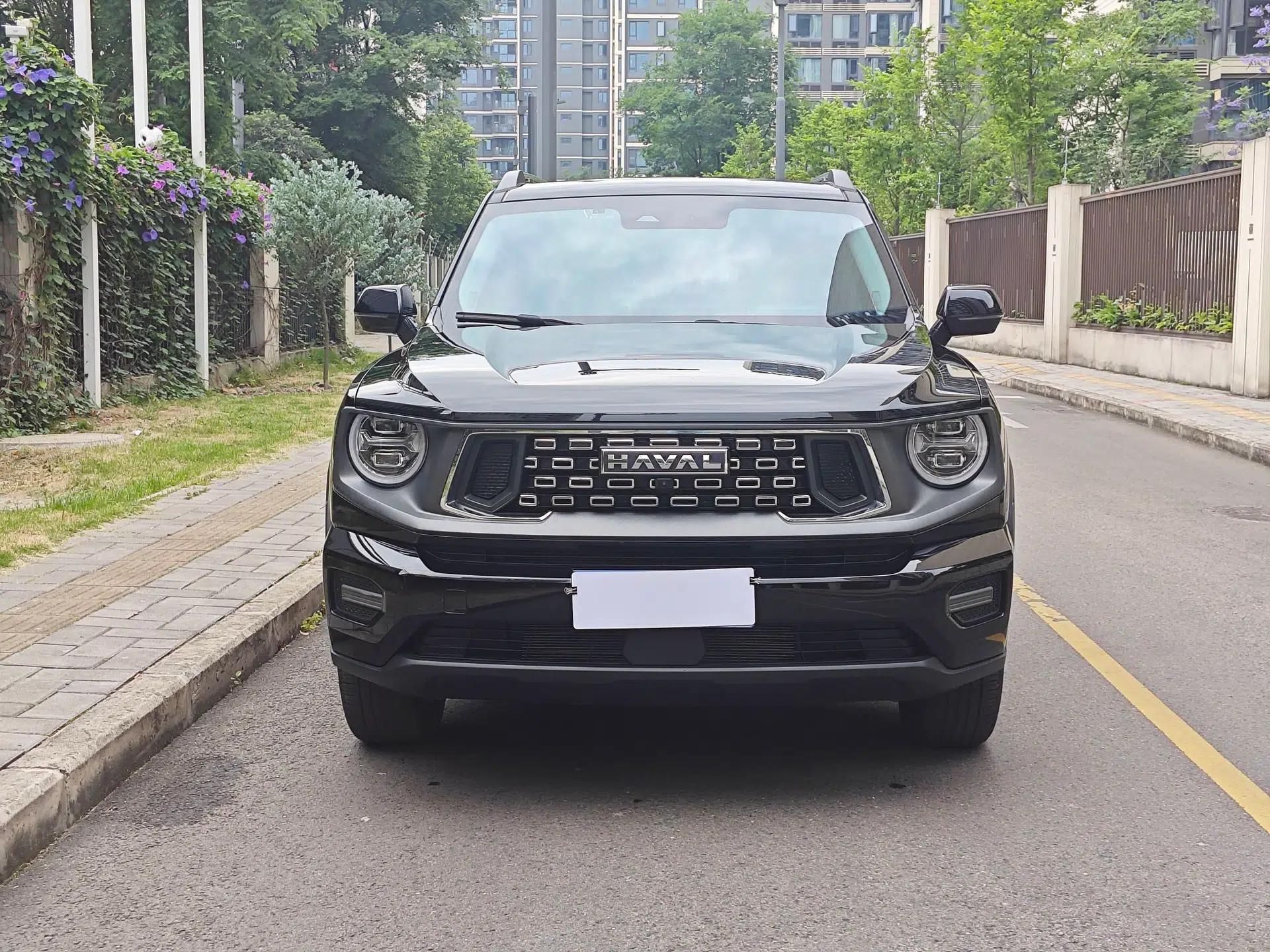 Haval H Dog 2023 1.5T Two-Wheel Drive Chao Ye Version Plus — миниатюра 3