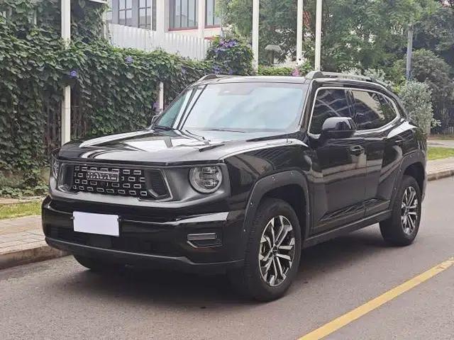 Haval H Dog 2023 1.5T Two-Wheel Drive Chao Ye Version Plus