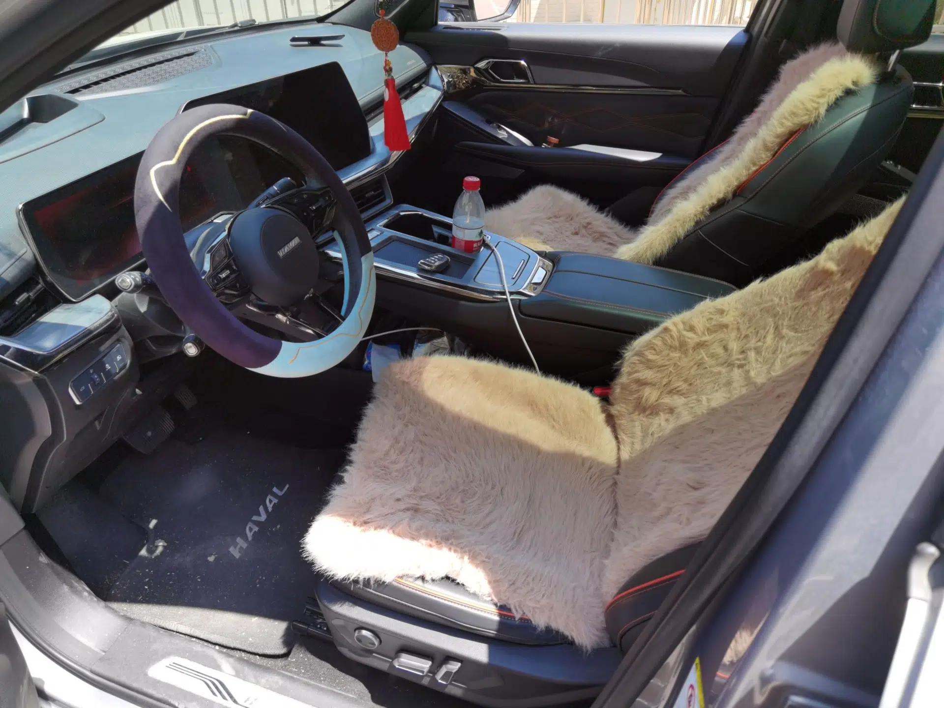 Haval XY 2022 1.5T ZhiZun Edition — миниатюра 16