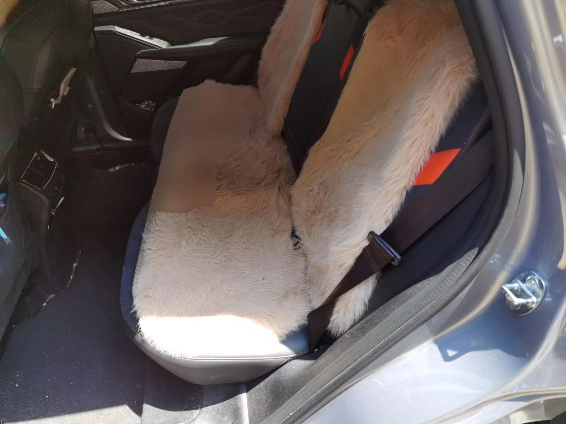 Haval XY 2022 1.5T ZhiZun Edition — миниатюра 18