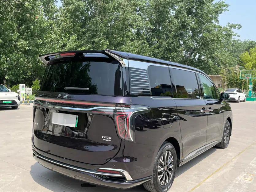 Hongqi HQ9 PHEV 2024 2.0T Four-Wheel Drive Luxury Edition — миниатюра 9