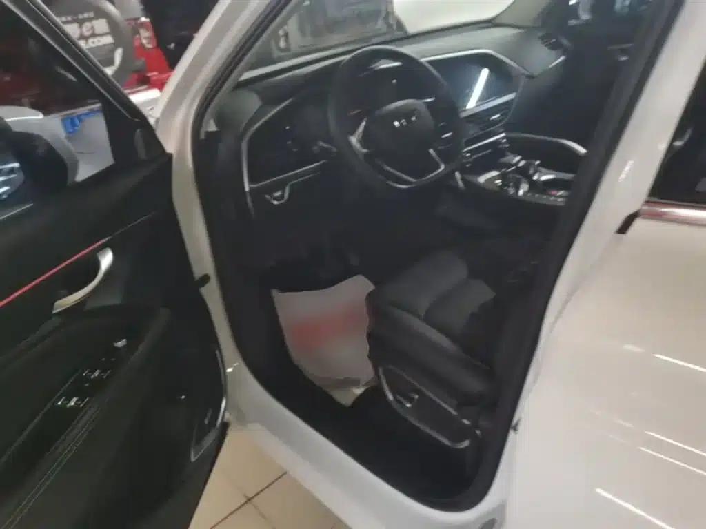 Geely Xingyue 2020 High-Performance Edition 350T Shining Star — миниатюра 15