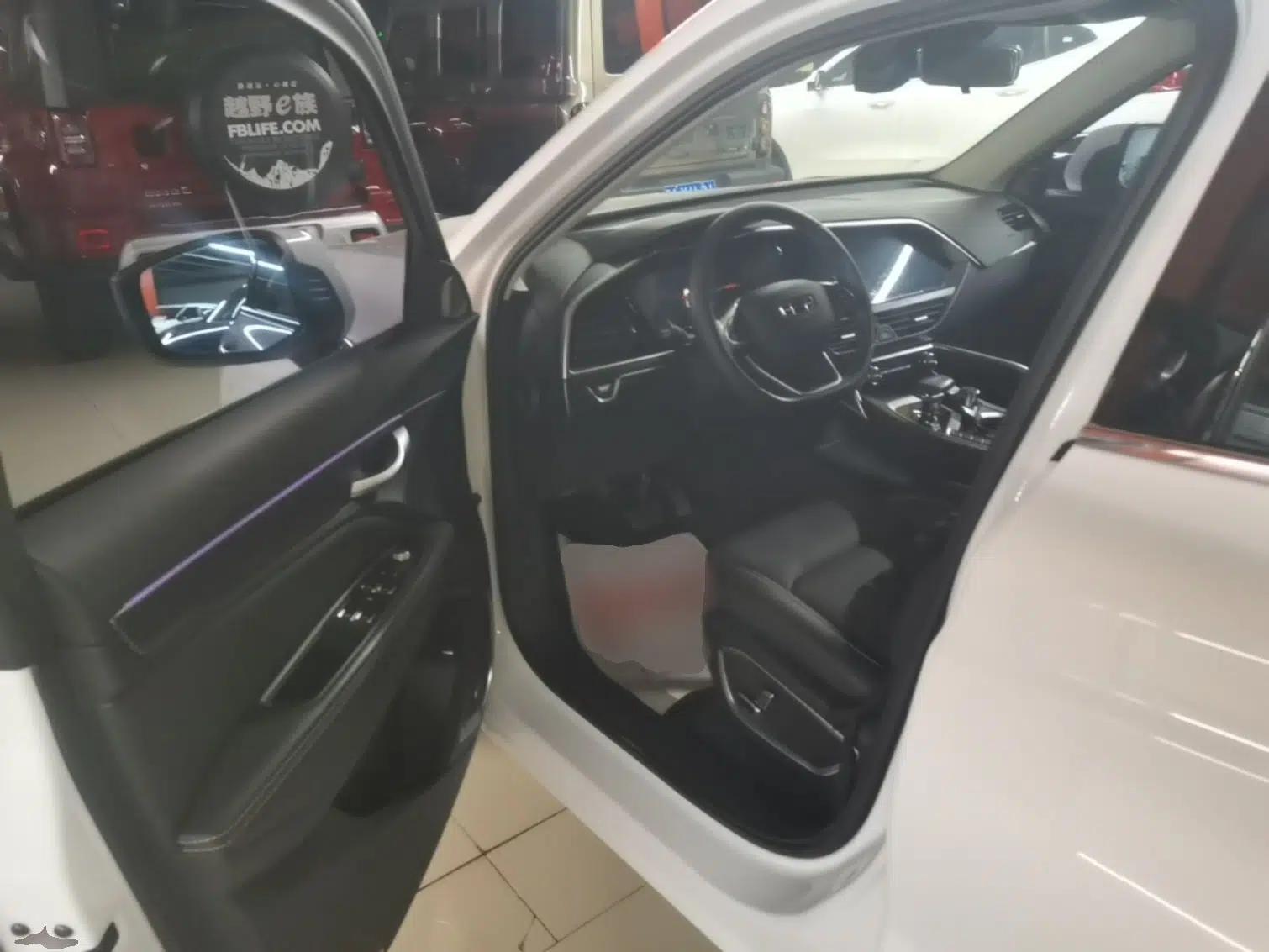 Geely Auto Monjaro 2020 High-Energy Edition 350T Yáoxīngzhě — миниатюра 19