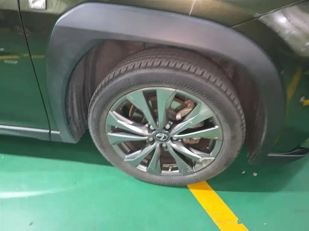 Lexus UX 2019 260h F SPORT Edition (China VI Emission Standard) — миниатюра 14