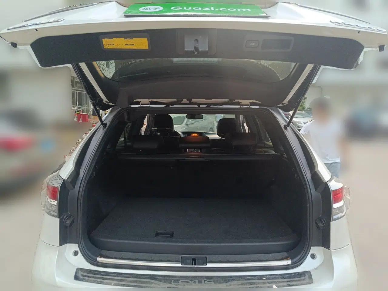Lexus RX Classic 2014 270 Special Limited Edition — миниатюра 20