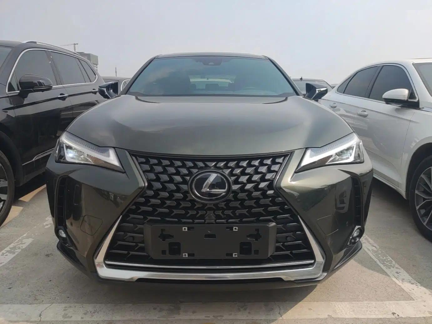 Lexus UX New Energy 2020 300e Pure·Enjoy Edition — миниатюра 2
