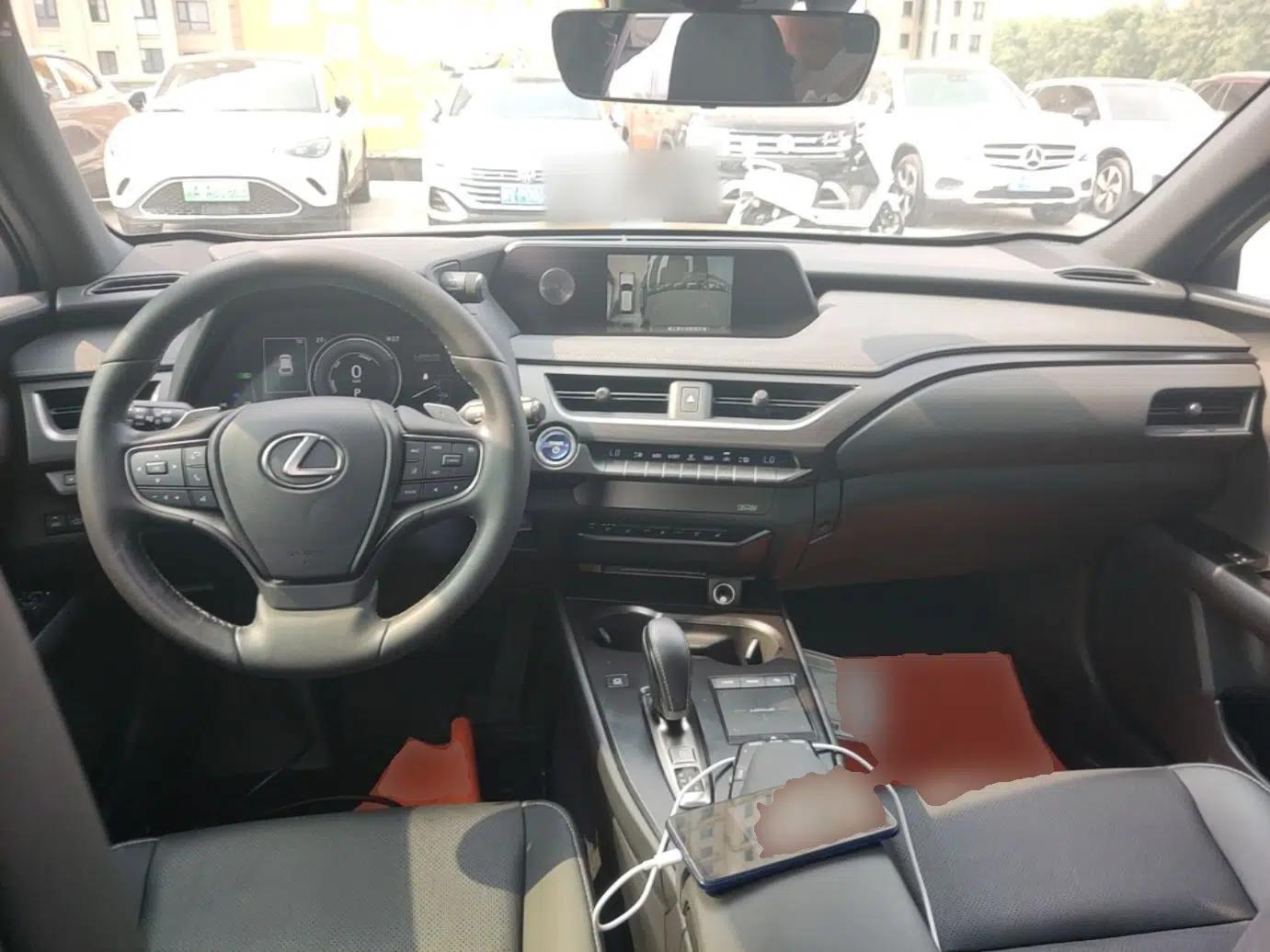 Lexus UX New Energy 2020 300e Pure·Enjoy Edition — миниатюра 12