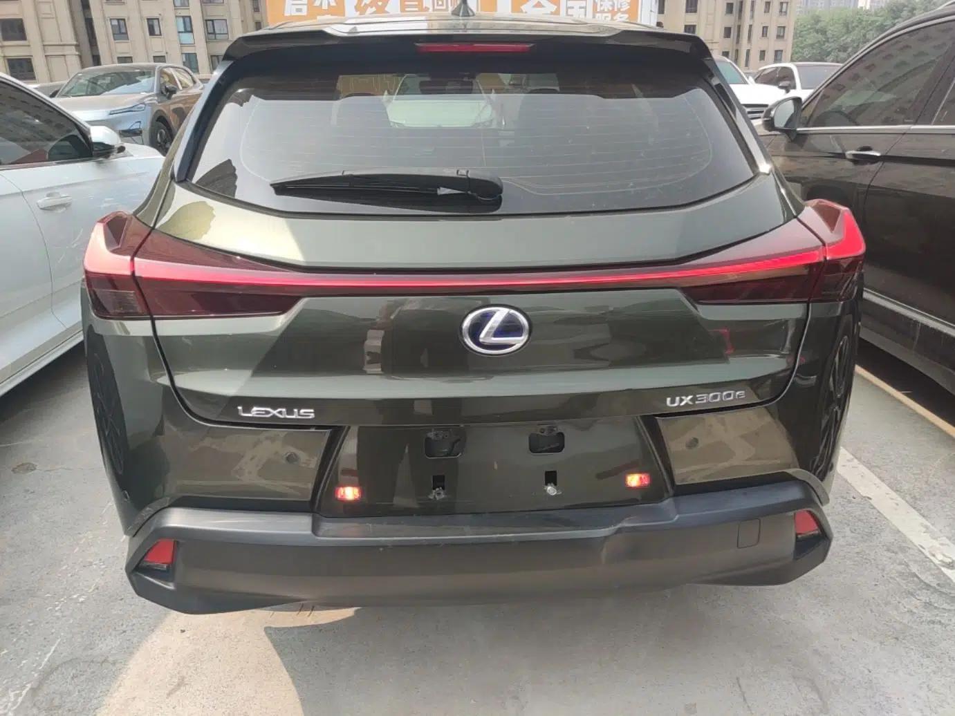 Lexus UX New Energy 2020 300e Pure·Enjoy Edition — миниатюра 3