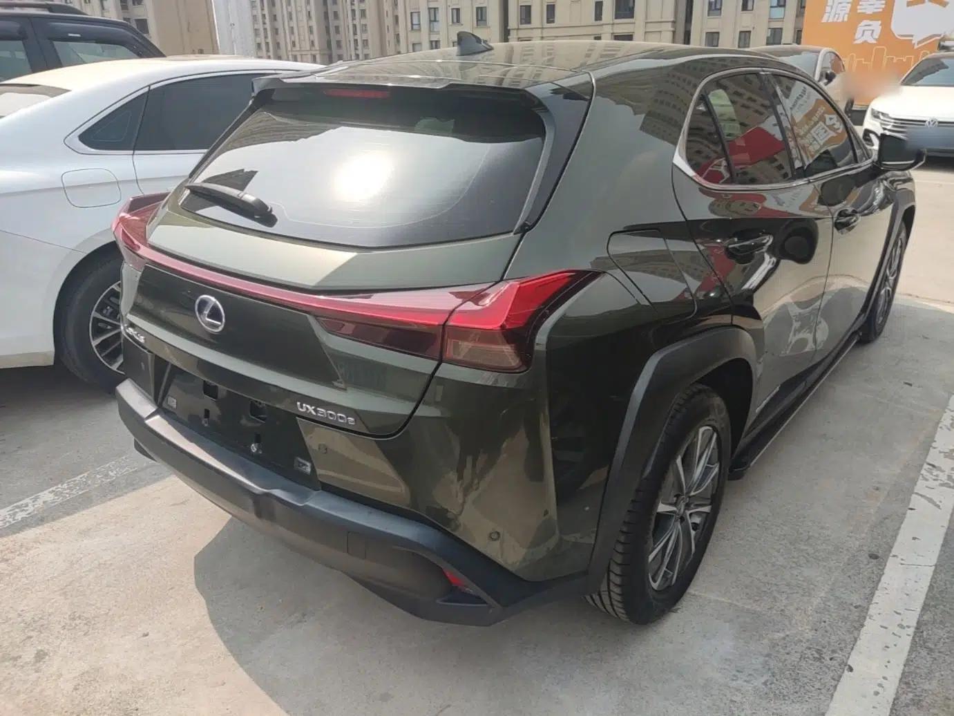 Lexus UX New Energy 2020 300e Pure·Enjoy Edition — миниатюра 4