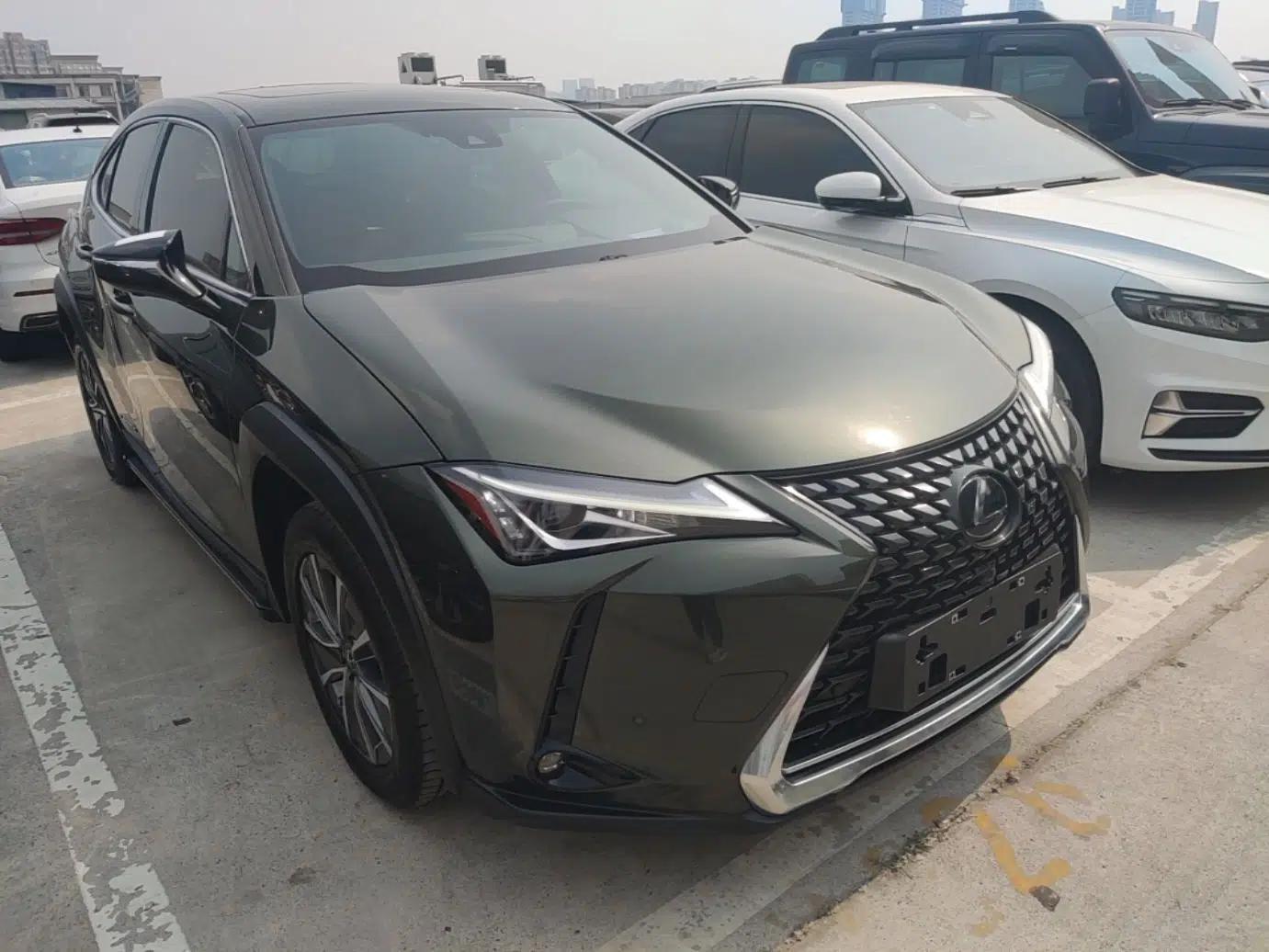 Lexus UX New Energy 2020 300e Pure·Enjoy Edition — миниатюра 6