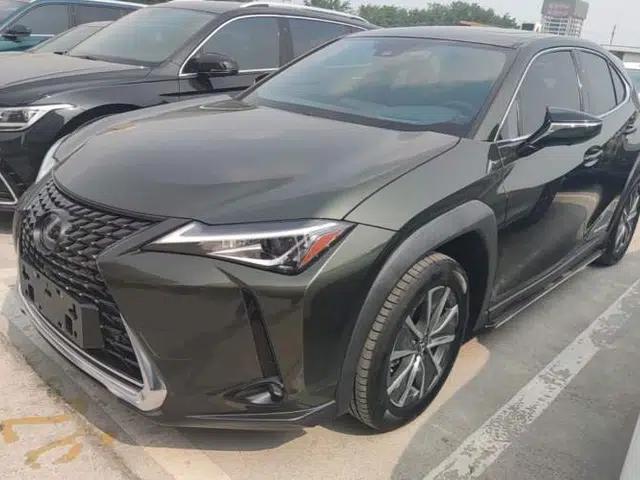 Lexus UX New Energy 2020 300e Pure·Enjoy Edition