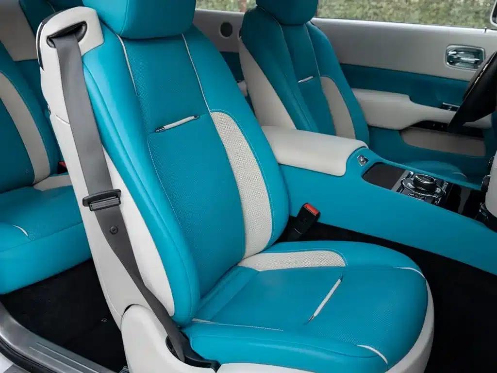 2018 Phantom 6.6T Standard Edition — миниатюра 19