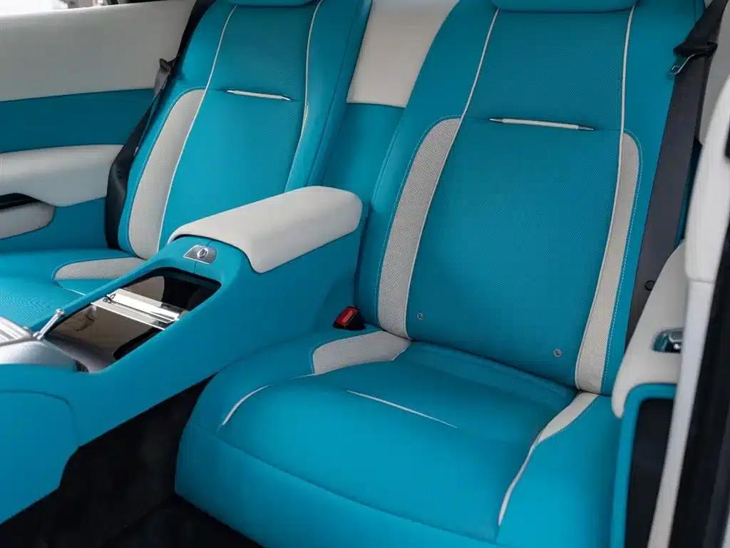 2018 Phantom 6.6T Standard Edition — миниатюра 21