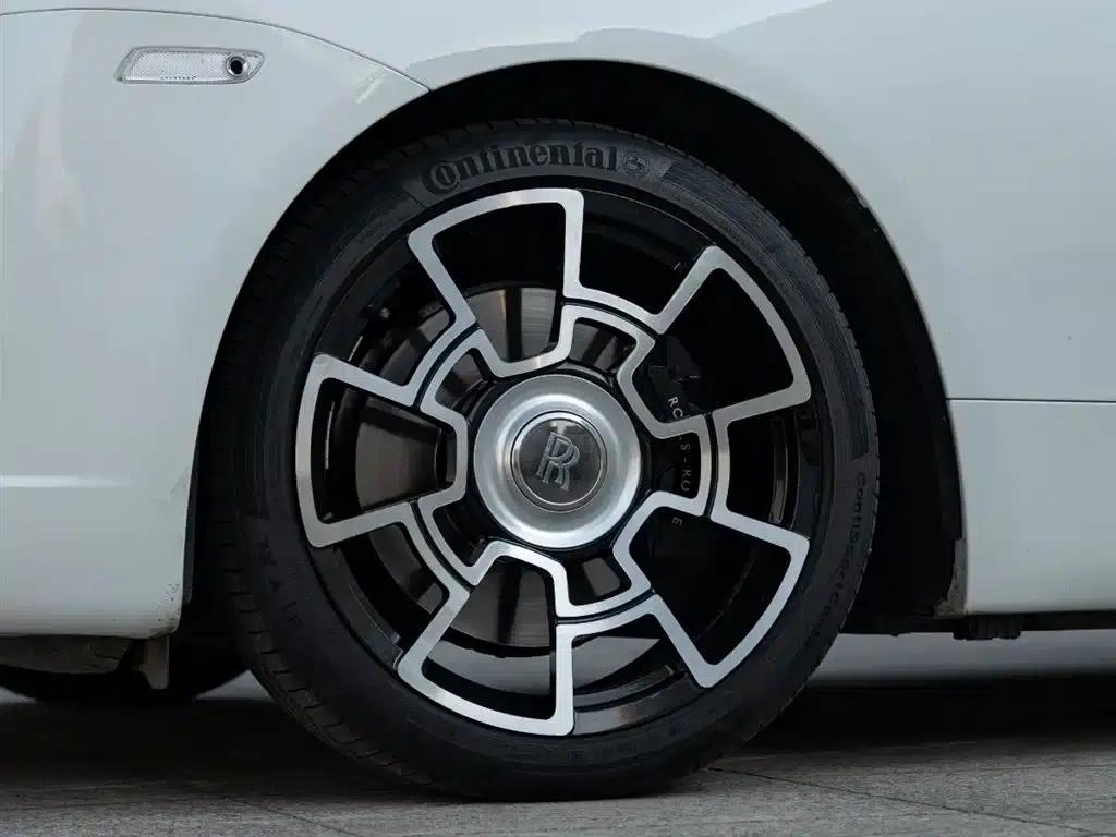 2018 Phantom 6.6T Standard Edition — миниатюра 8