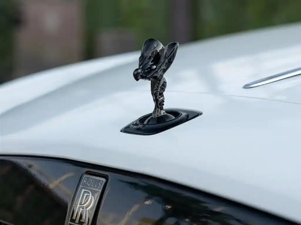 2018 Phantom 6.6T Standard Edition — миниатюра 9
