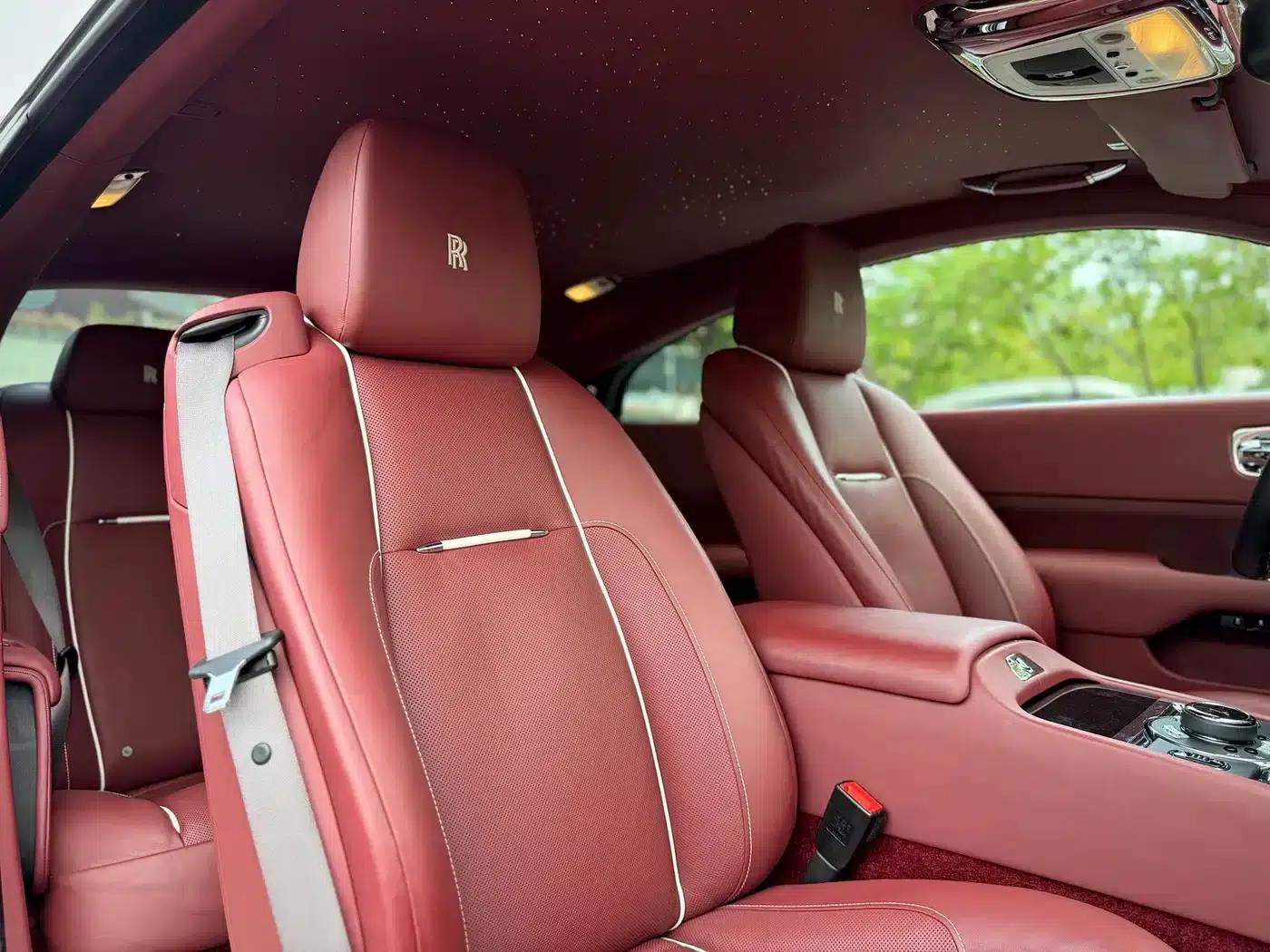 2018 Phantom 6.6T Standard Edition — миниатюра 20