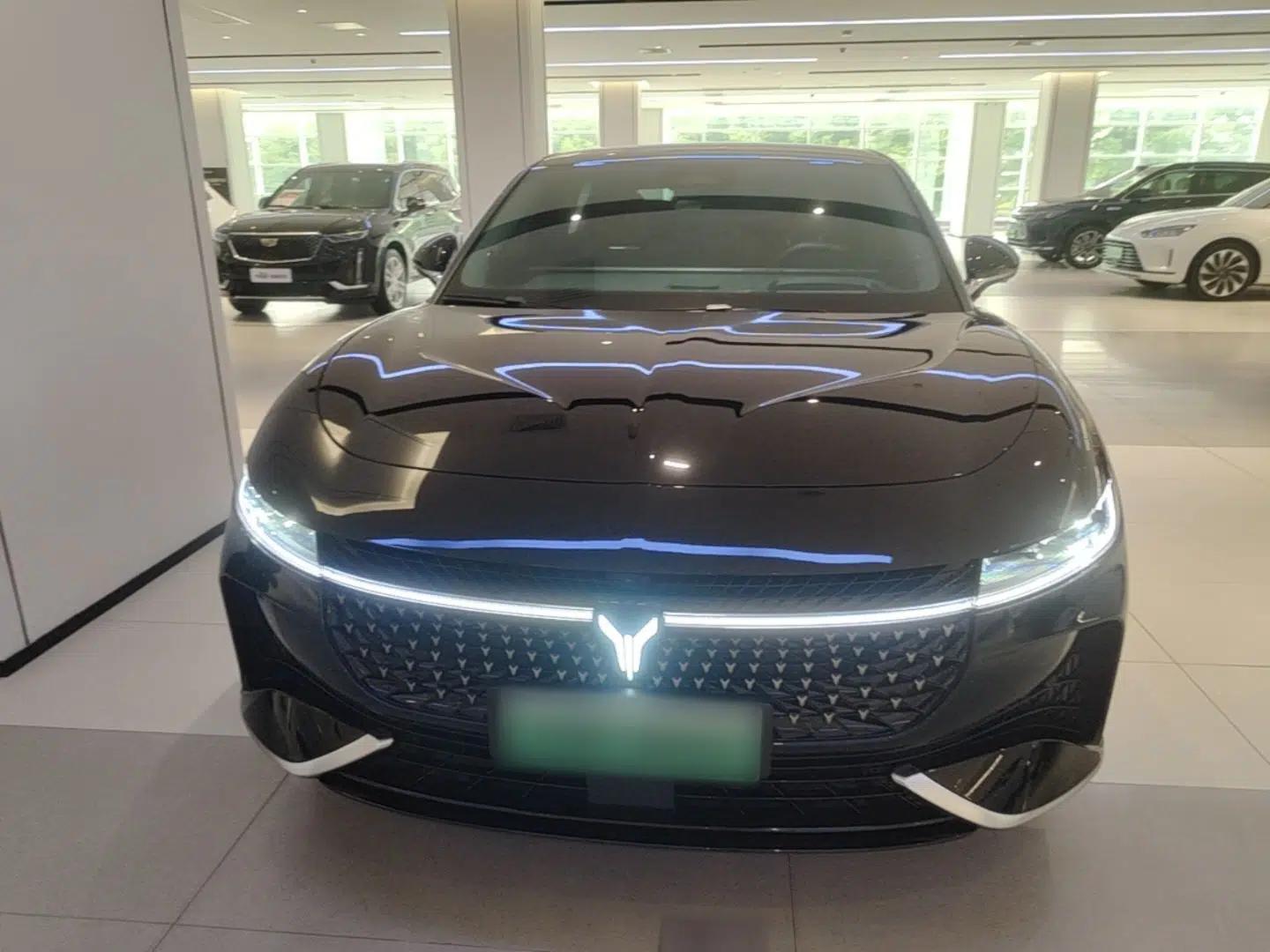 VOYAH PASSION 2024 PHEV Four-Wheel Drive Ultra-Long Range Flagship Model — миниатюра 2