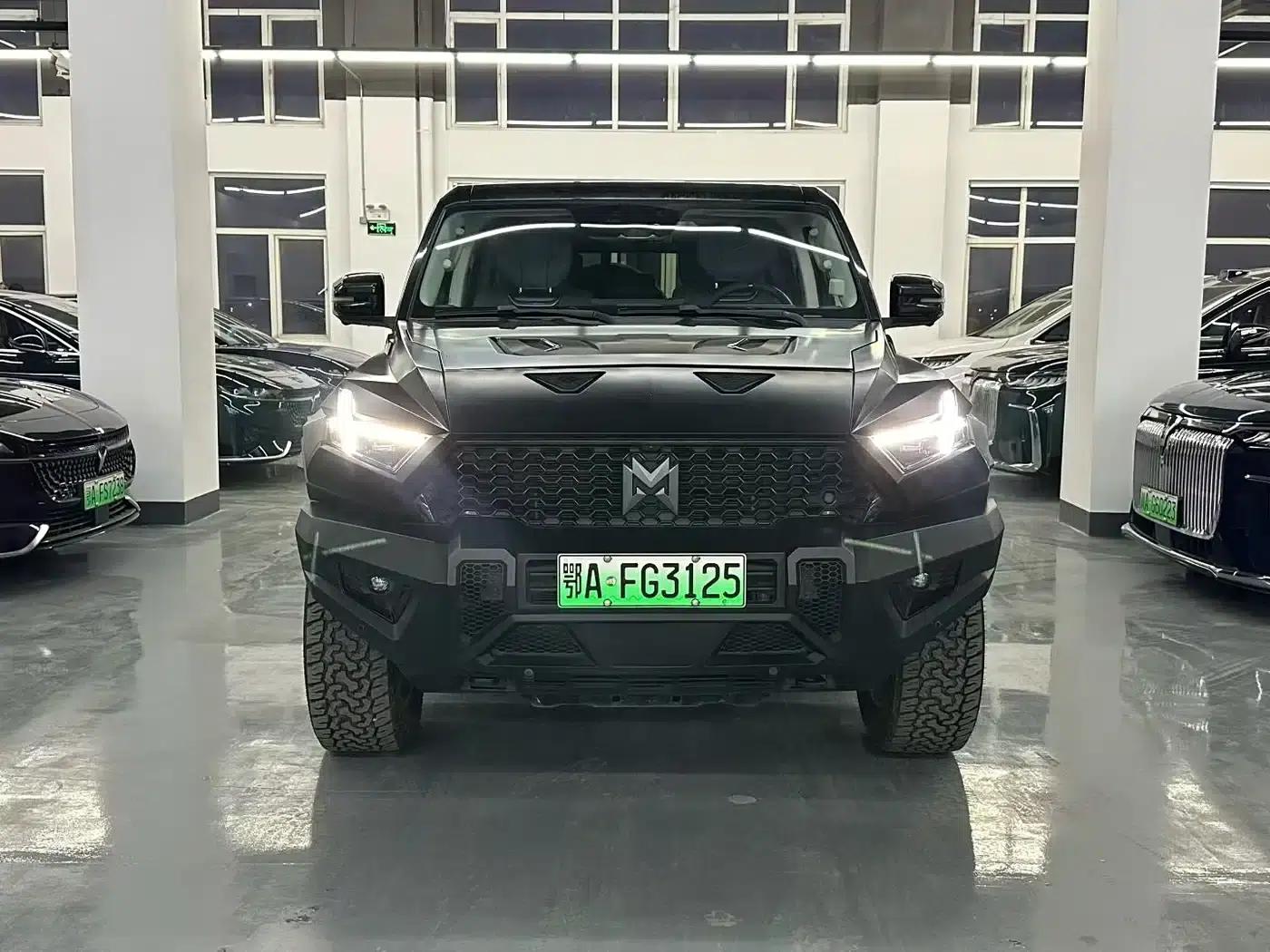 Warrior 917 2023 Range Extended Basic Edition — миниатюра 2