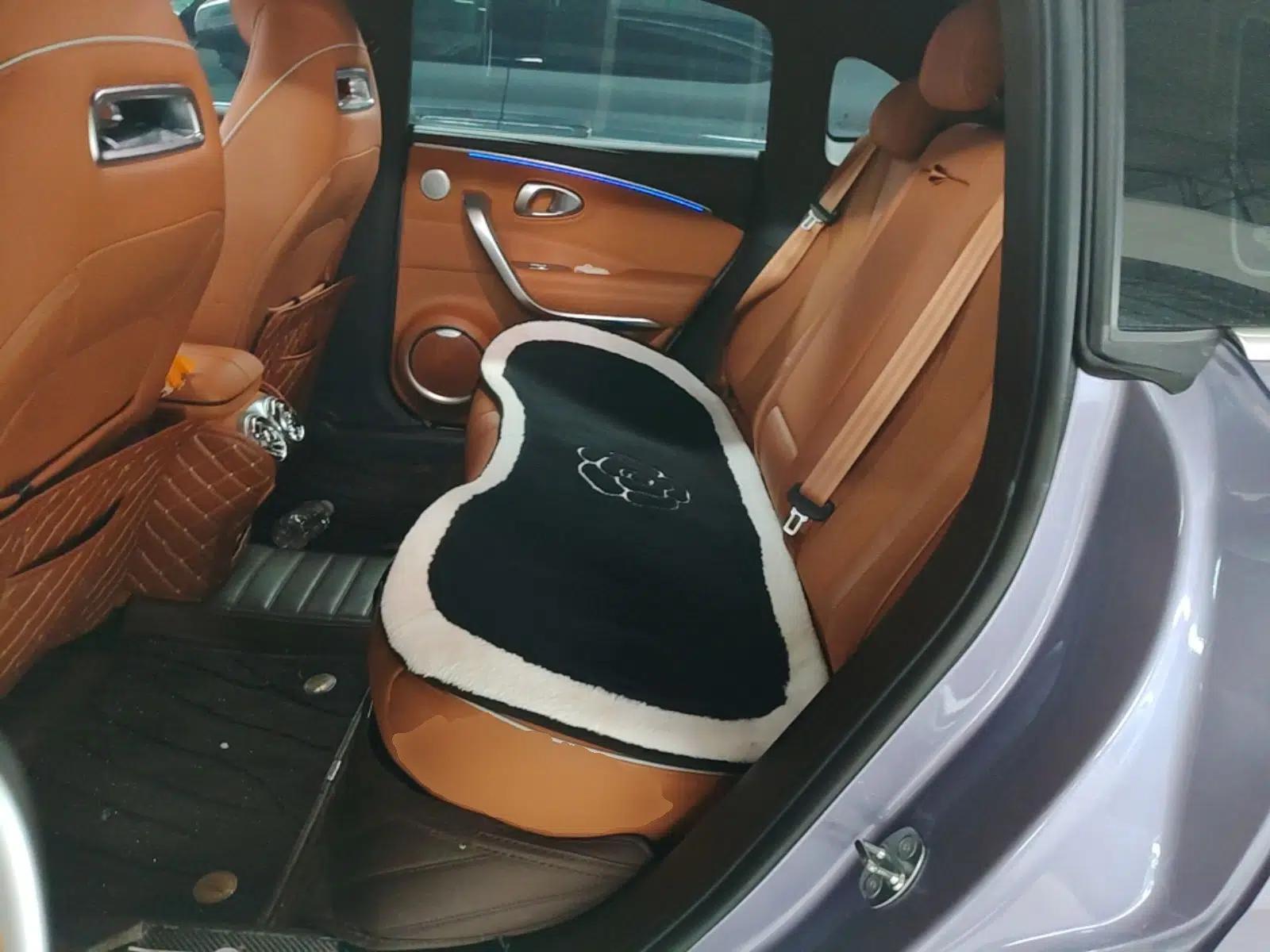 ORA Lightning Cat 2022 555 km Luxury Edition — миниатюра 20