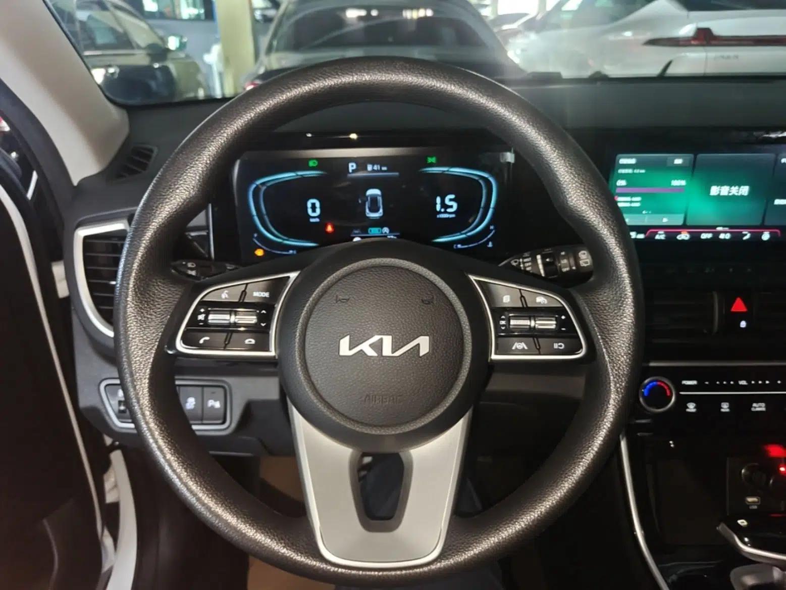 Kia Seltos 2023 1.5L CVT Luxury Edition — миниатюра 13